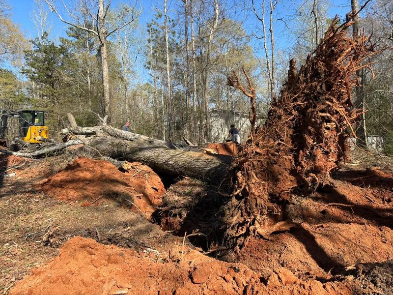 Land Clearing & Demolition