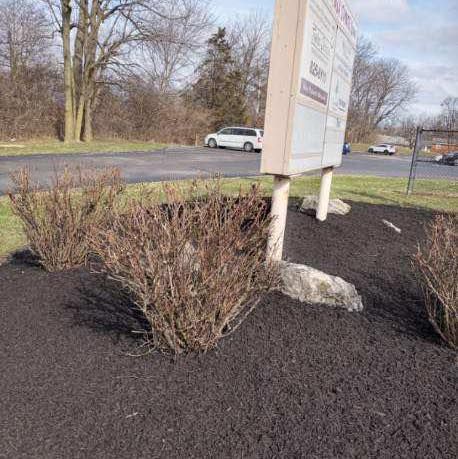 Weed Control