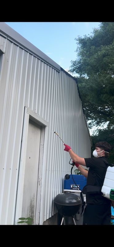 Commercial Pest Control