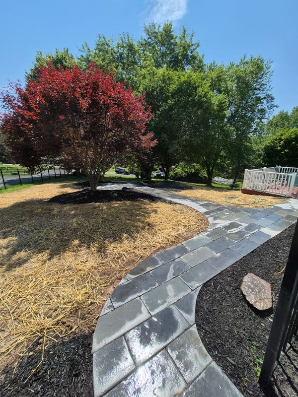 Landscape Design