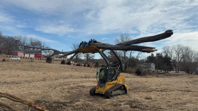 Land Clearing