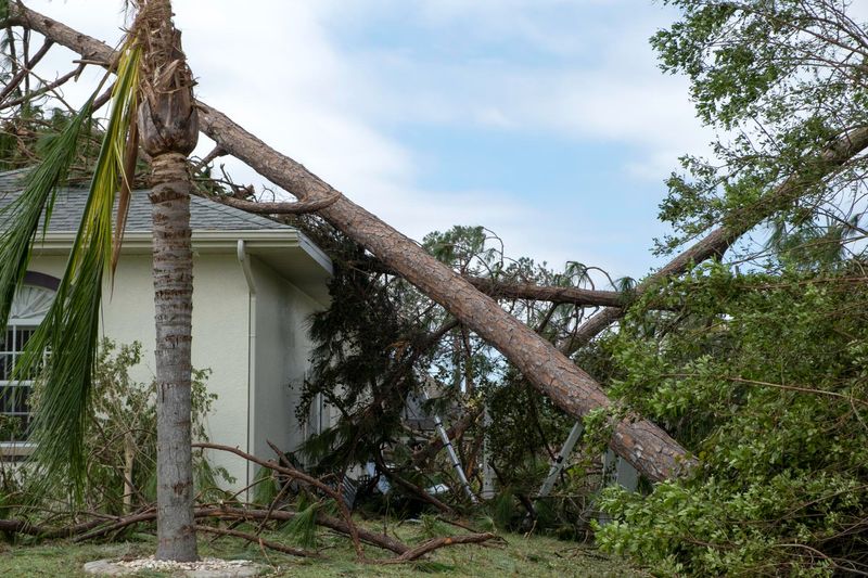 Storm Damage Repair