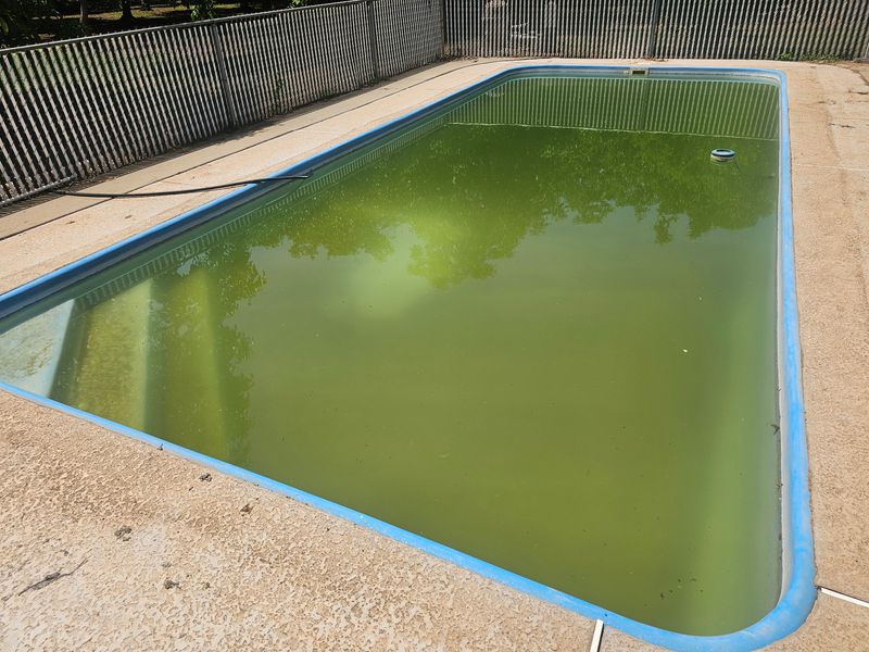 Green Pool Cleanups