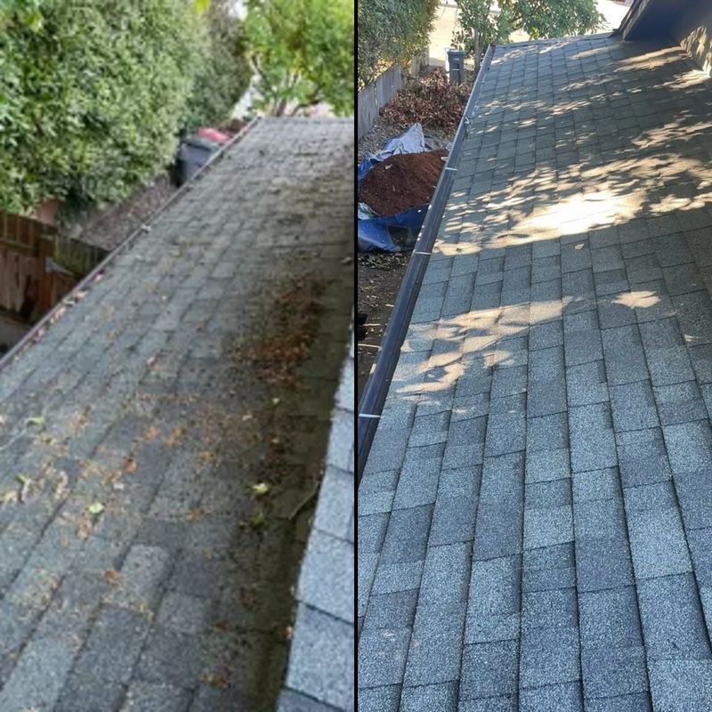 Roof Cleaning