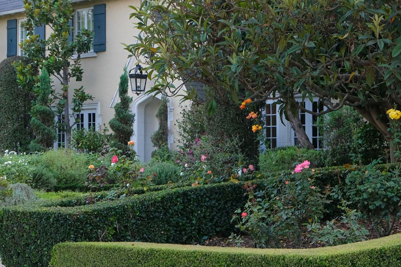 Hedge Trimming