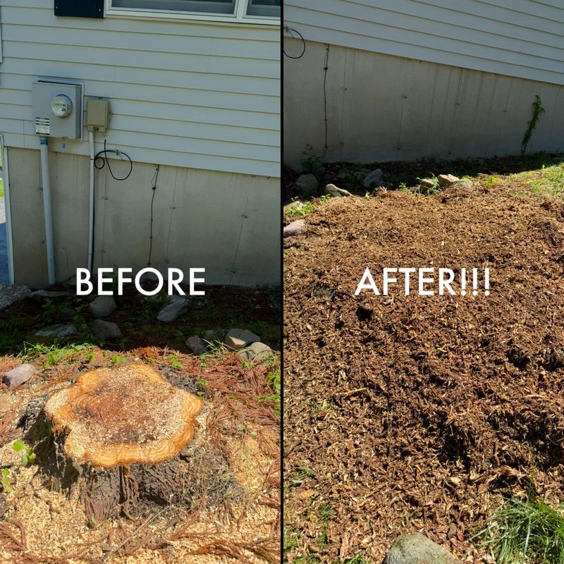 Stump Removal