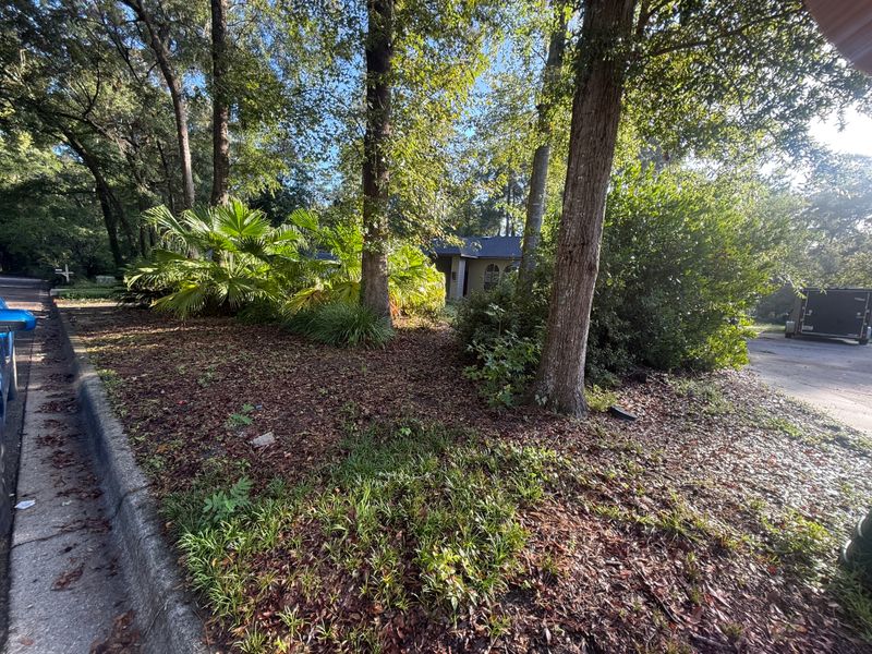 Landscape & Property Cleanup