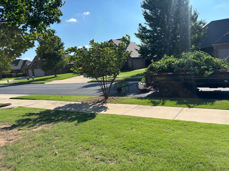 Tree & Shrub Care