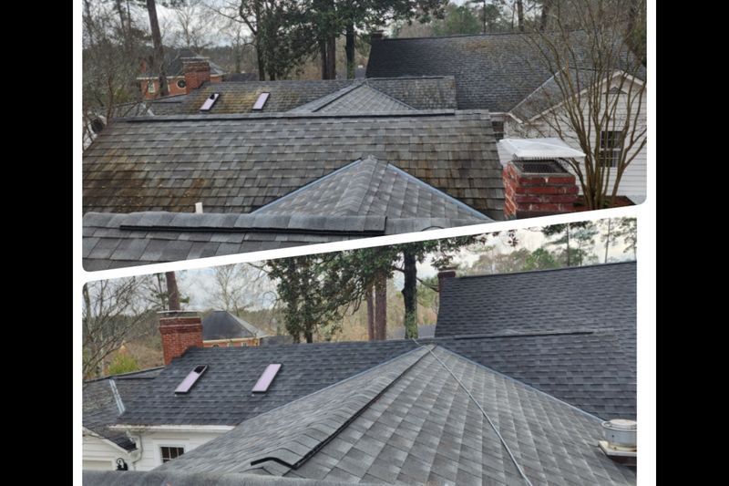 Roof cleaning 