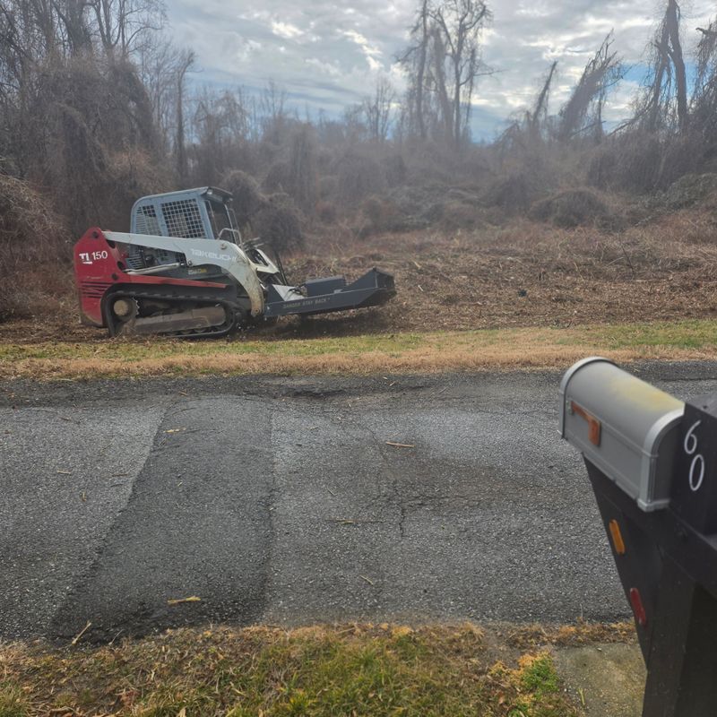 Septic Repair/ Excavation/ Lot Clearing