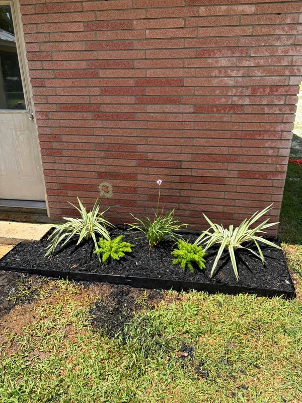 Landscape Design