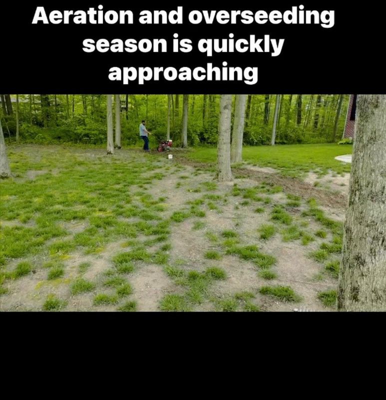 Aeration and Overseeding
