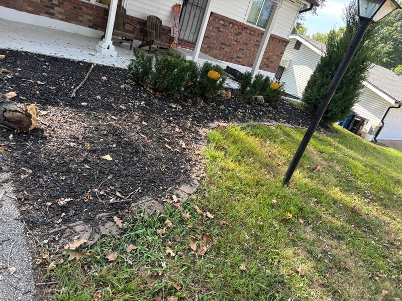 Mulch Installation
