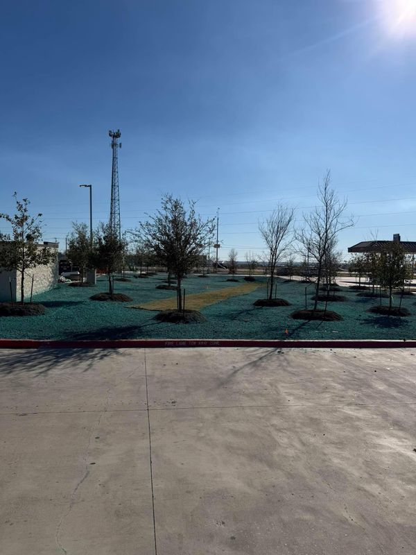 Hydroseeding