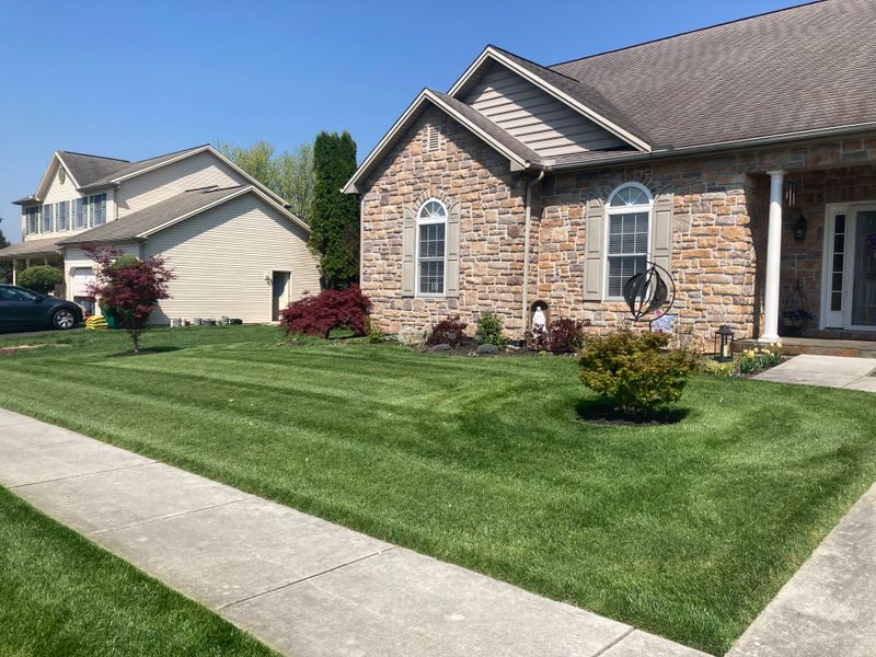 Lawn Maintenance
