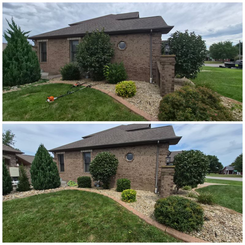 Mulch Bed Installation and Renovation