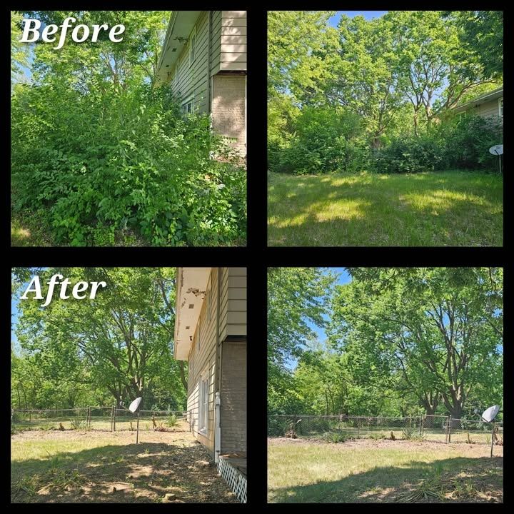Yard Cleanup