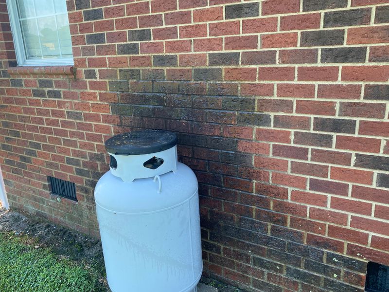 Brick Cleaning