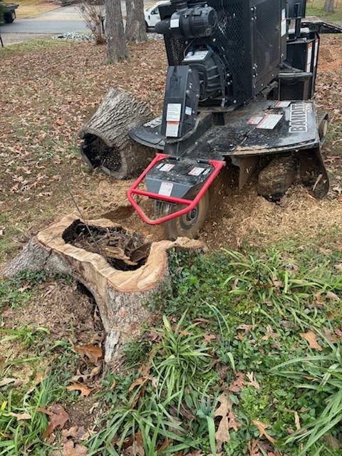 Tree Removal