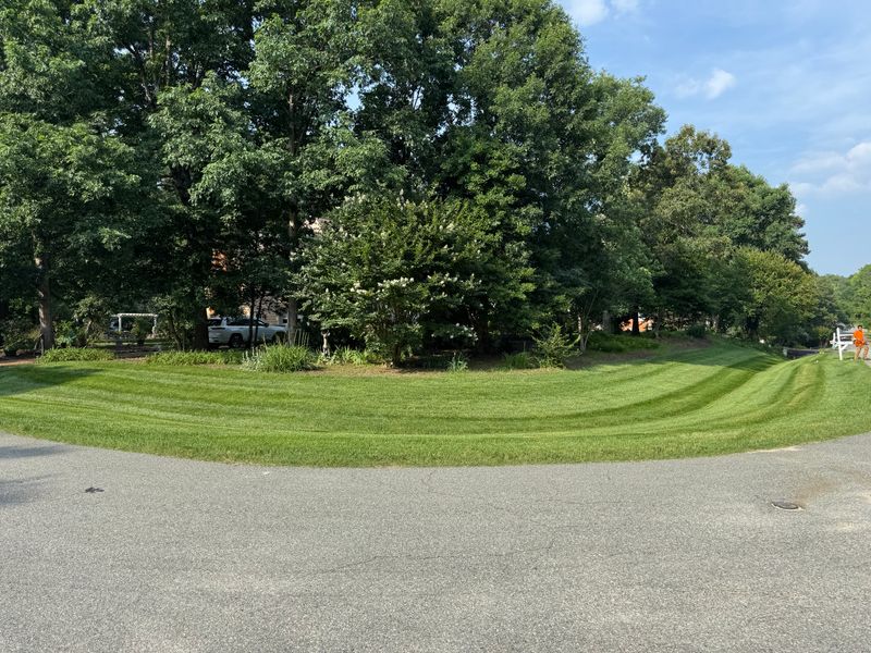 Mowing