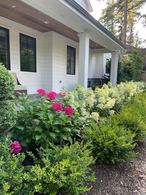 Fall and Spring Clean Up