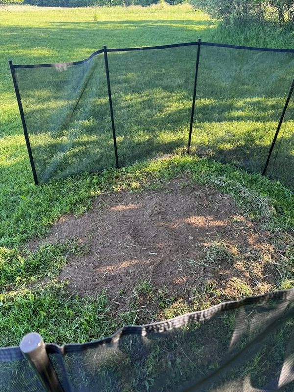 Stump Removal