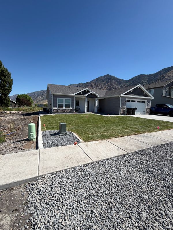 Two Neighboring Yards Built from Bare Dirt Up