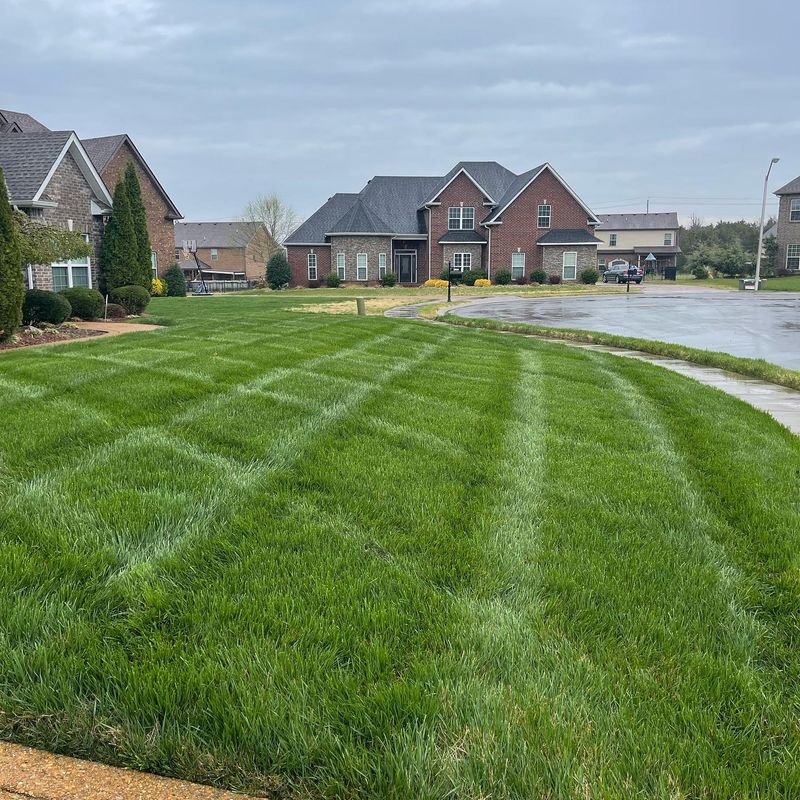 Mowing