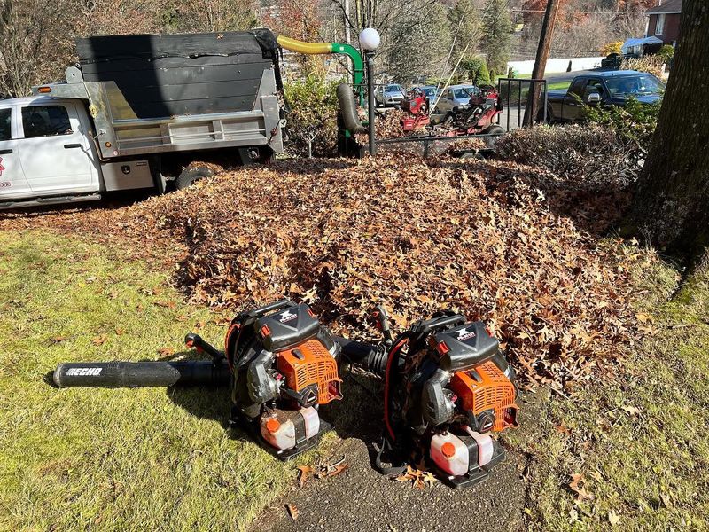 Fall and Spring Clean Up
