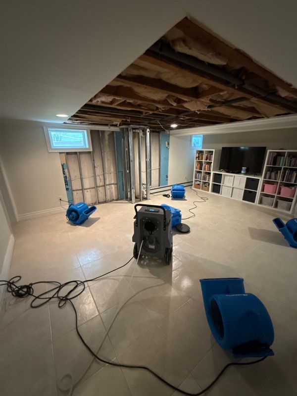 Water restoration gallery