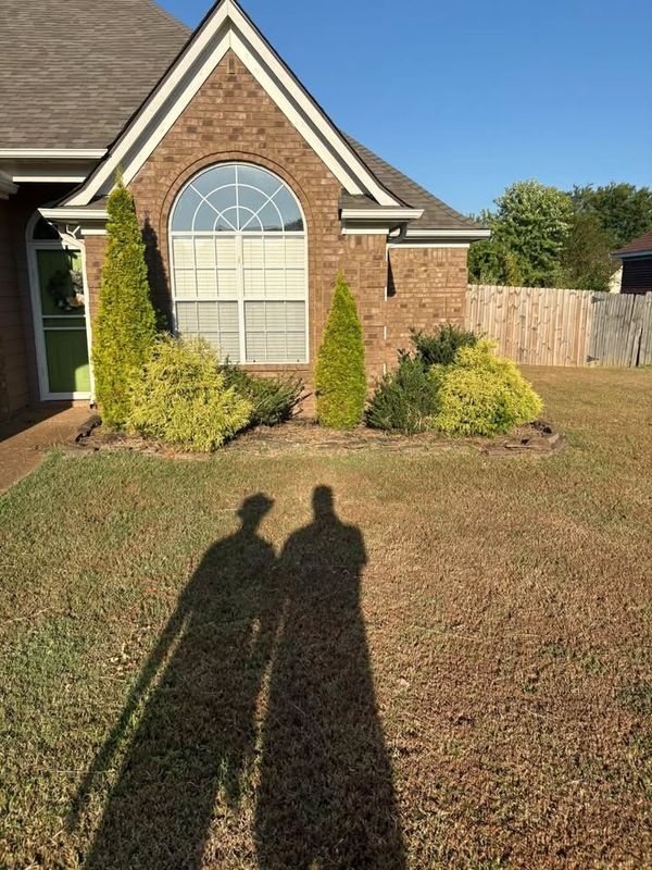 Lawn Maintenance