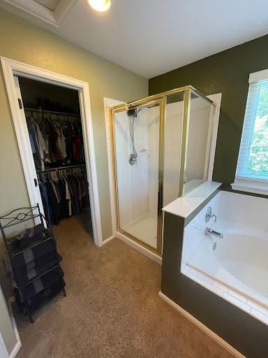 Whole Home Renovation