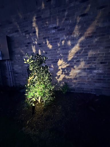 Landscape Lighting