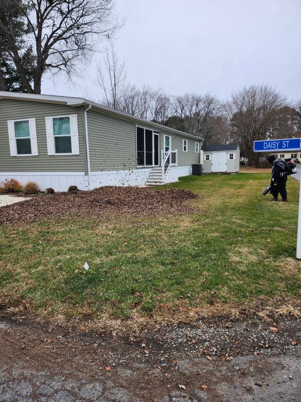 Lawn Maintenance