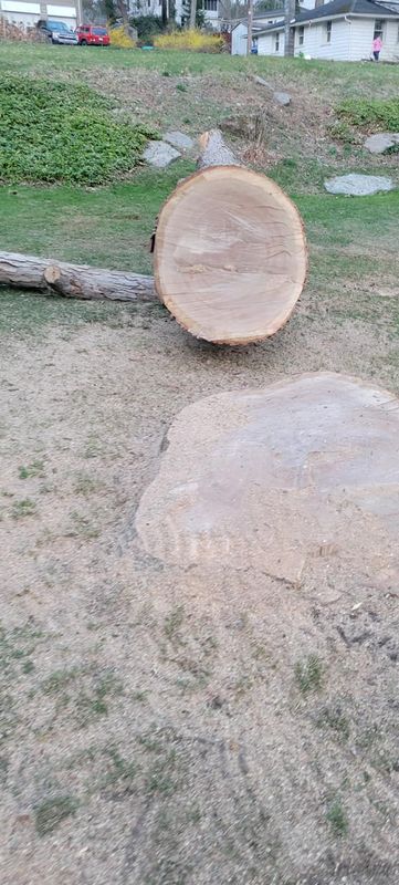 Tree Services