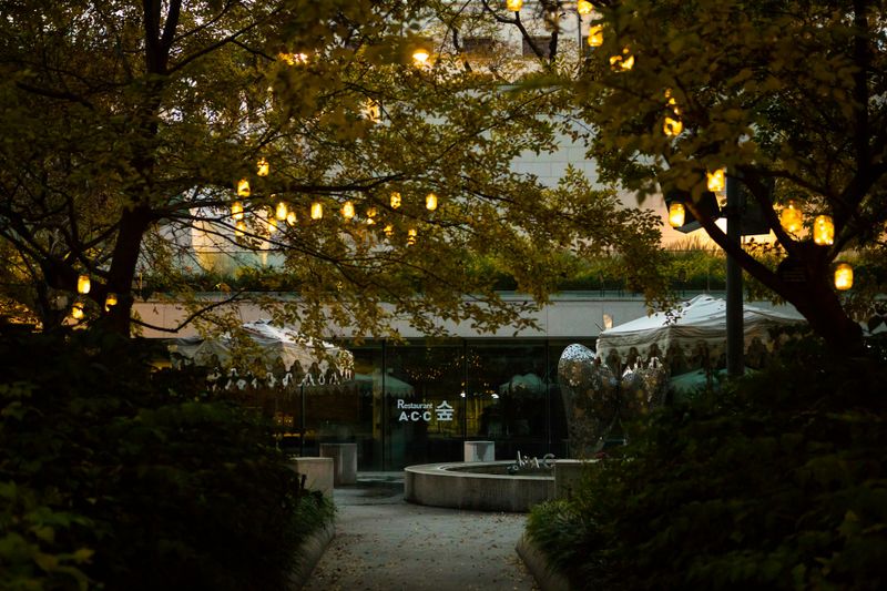 Landscape Lighting