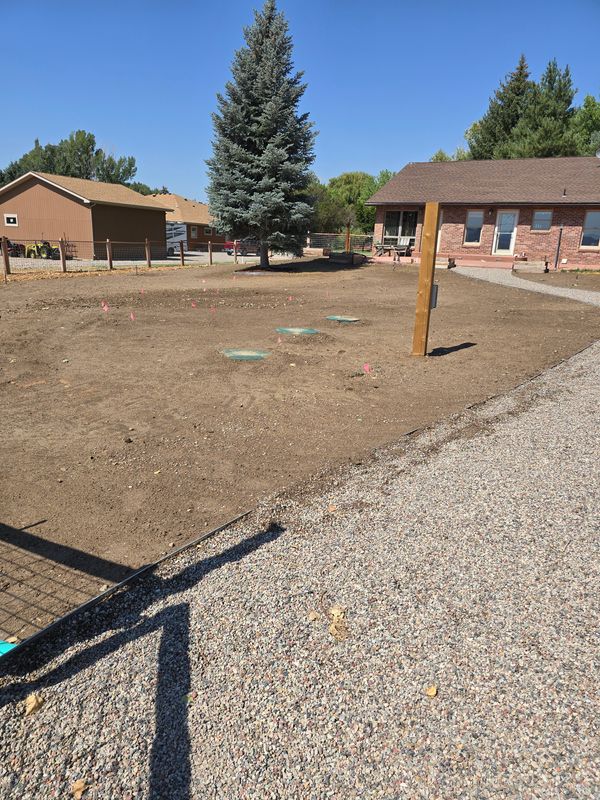 Xeriscaping