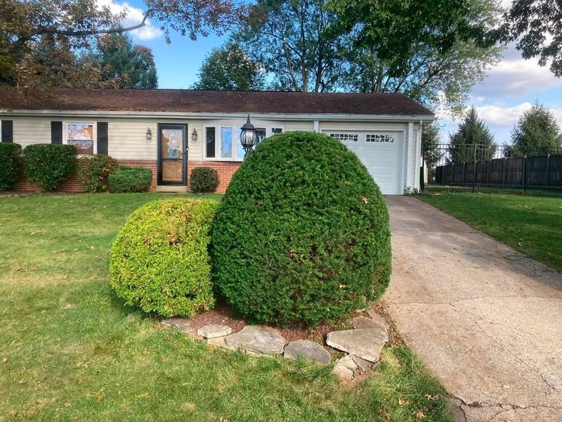 Tree & Shrub Care