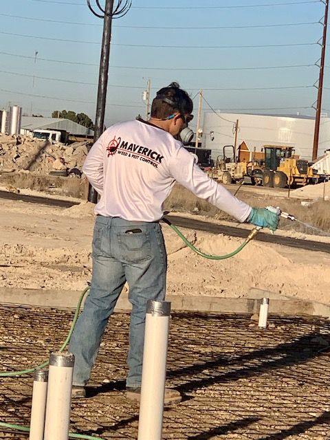 Termite Pretreatment