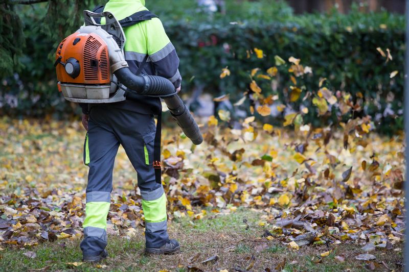 Fall Clean up