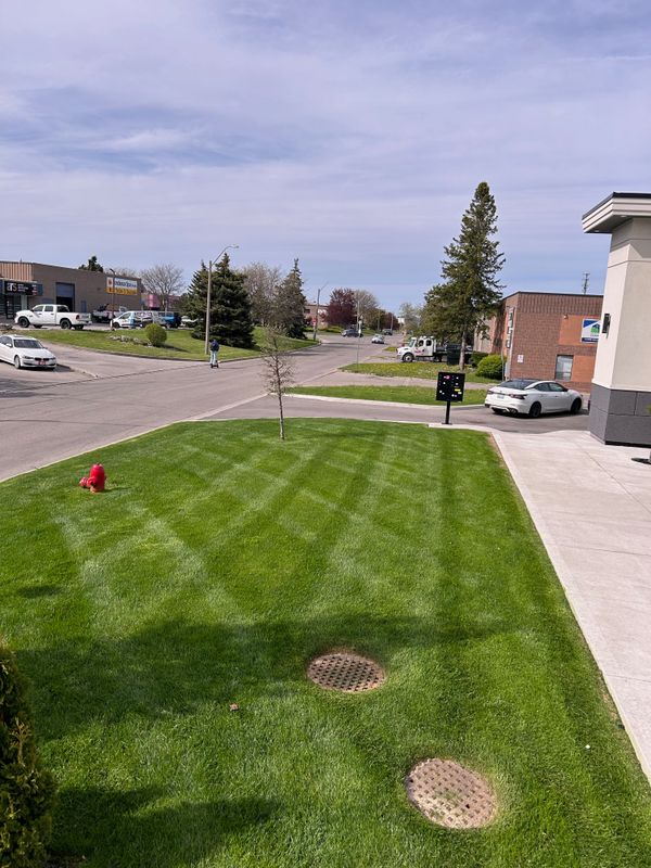 Lawn Mowing