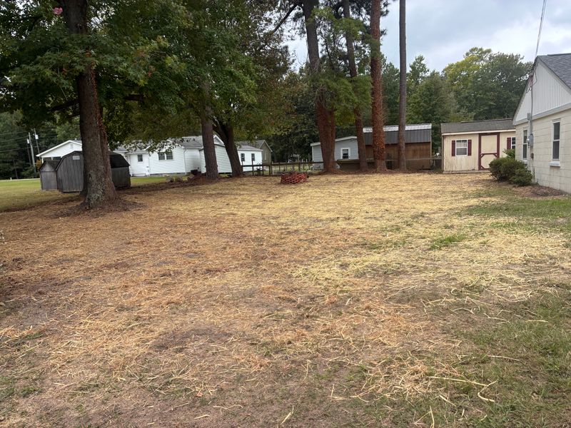 Lawn Aeration and Seeding