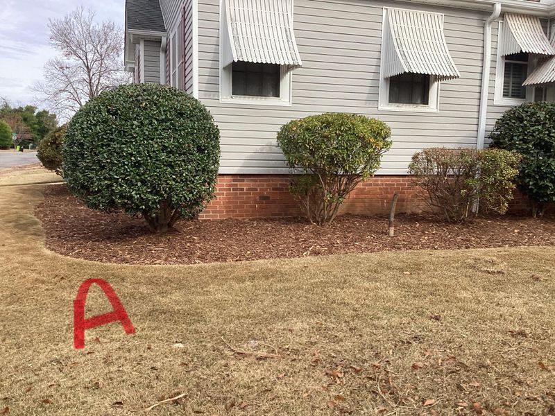 Shrub Trimming