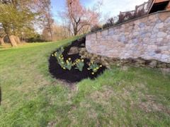 Landscape Design