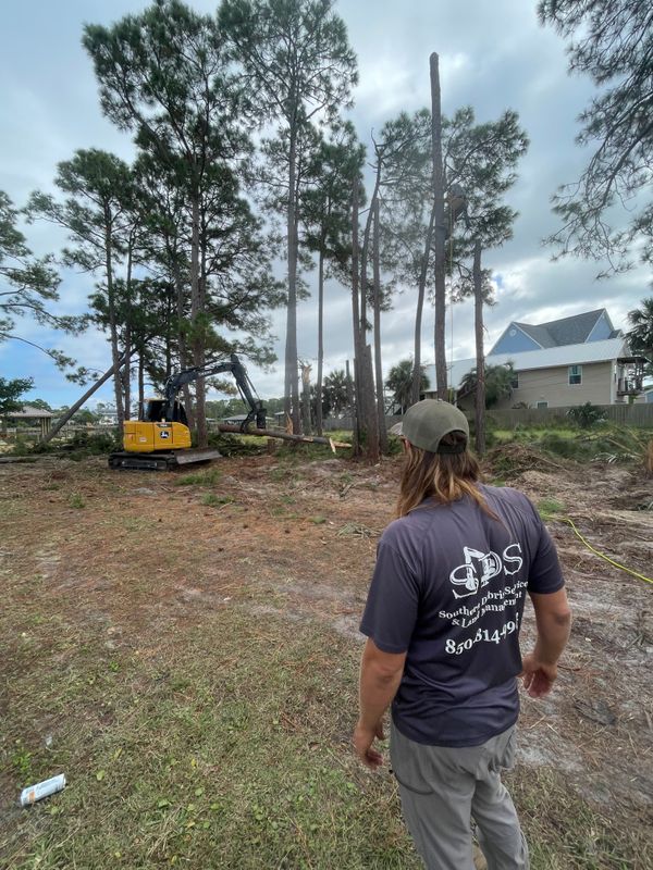 Land Clearing/ Forestry mulching gallery