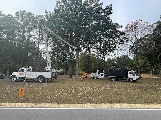 Other Tree Services