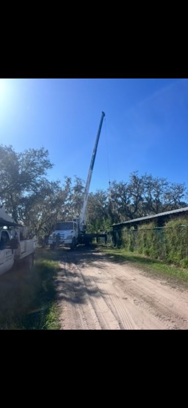 Tree removal