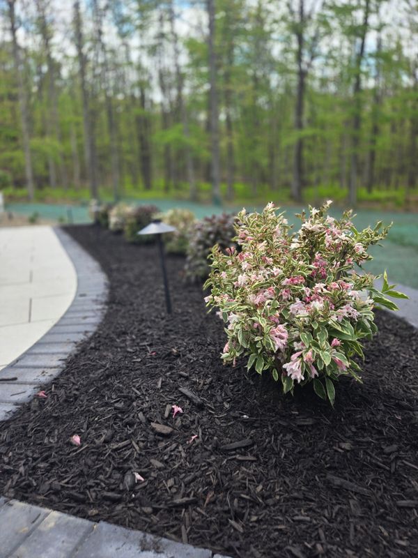Complete Landscaping Design