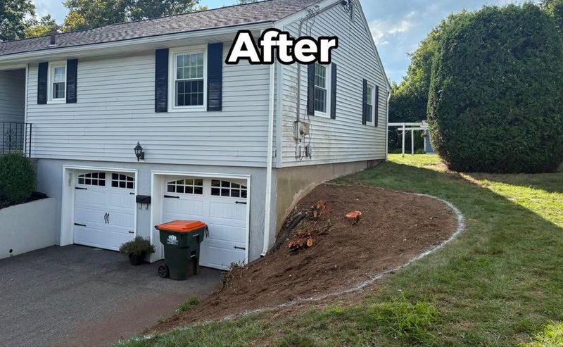 Shrub Removal & Install