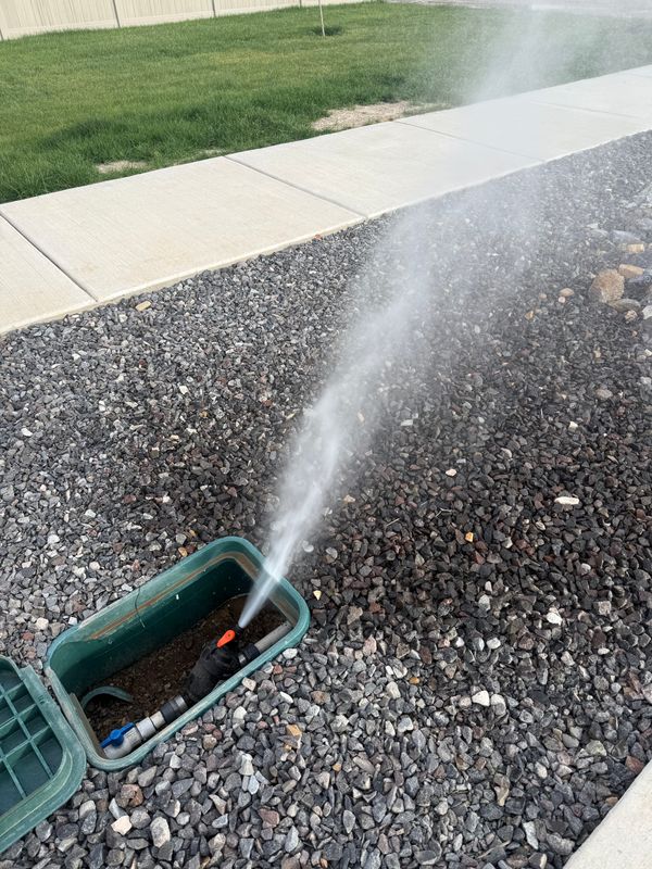 Sprinkler Blowout
